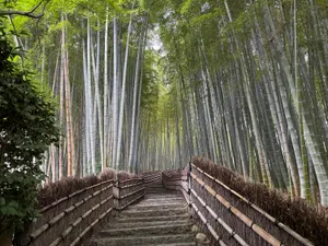 Adashino Nenbutsu-Ji Bamboo Forest