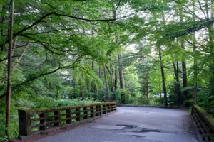 Karuizawa Yagasaki River Bridge