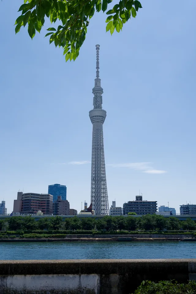 Tokyo Sky Tree